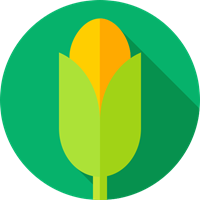 Food, Agriculture & Farming